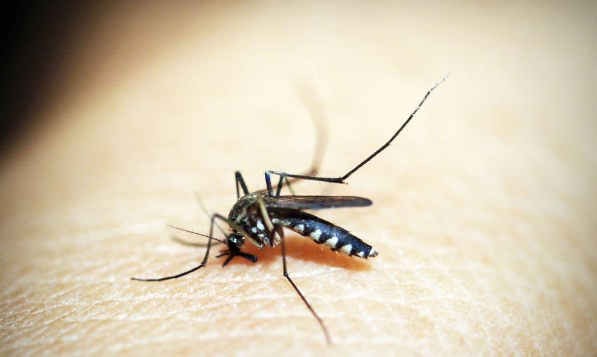 How to Treat Chikungunya Virus Symptoms